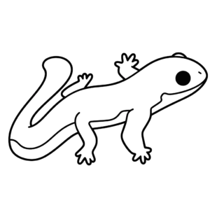 Desenho de salamandra para colorir