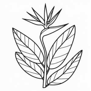 Desenho da Flor Ave do Paraíso para colorir