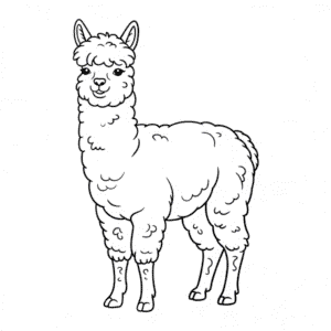 Desenho do Animal Alpaca para Colorir