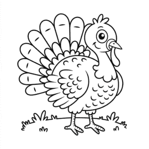 Desenho do Peru Básico para Colorir