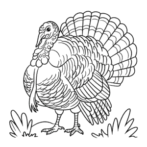 Desenho do Peru Detalhado para Colorir