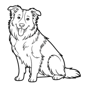 Desenho do Border Collie para Colorir
