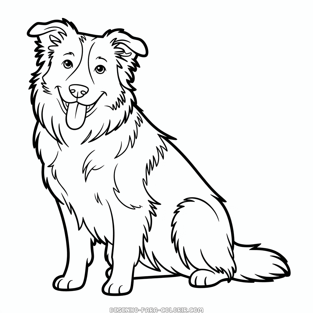 Desenho do Border Collie para Colorir