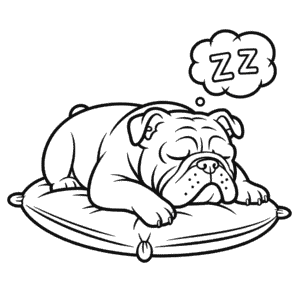 Desenho do Bulldog para Colorir