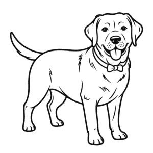 Desenho do Labrador Preto para Colorir