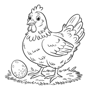 Desenho da Galinha Realista para Colorir