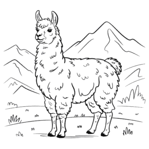 Desenho de Lhama Realista para Colorir