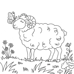 Desenho de Ovelha Adulta para Colorir