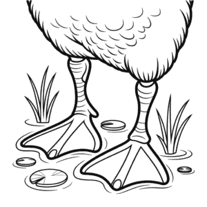 Desenho do Pés de Pato para Colorir