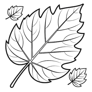 Desenho da Folha de Outono para Colorir