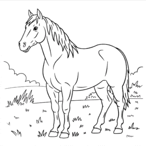 Desenho do Cavalo Real para Colorir
