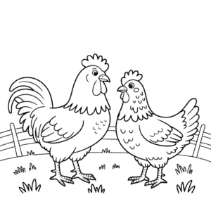 Desenho do Galo e da Galinha para Colorir