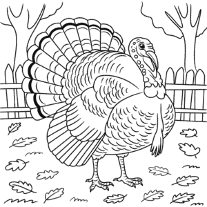 Desenho do Peru para Colorir