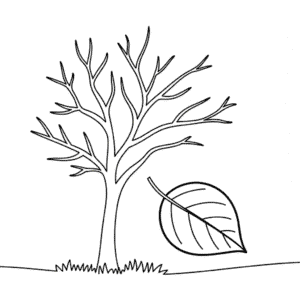 Desenho da Árvore de Outono Sem Folhas para Colorir